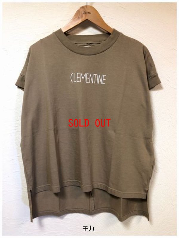 画像7: BLUE LAKE MARKET(ブルーレイクマーケット）　ソフト天竺ワイドフレンチプリントTシャツ