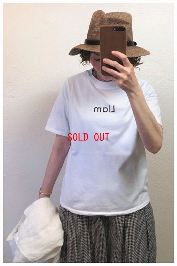 画像3: BLUE LAKE MARKET(ブルーレイクマーケット）　ソフト天竺変形プリントＴシャツ