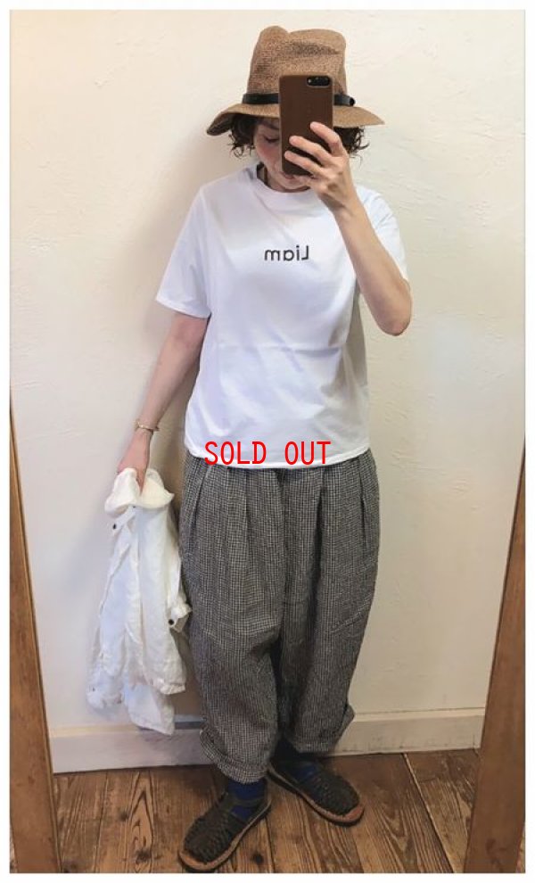 画像4: BLUE LAKE MARKET(ブルーレイクマーケット）　ソフト天竺変形プリントＴシャツ