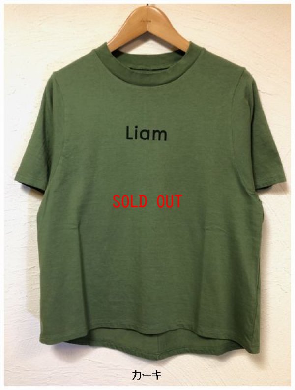 画像6: BLUE LAKE MARKET(ブルーレイクマーケット）　ソフト天竺変形プリントＴシャツ