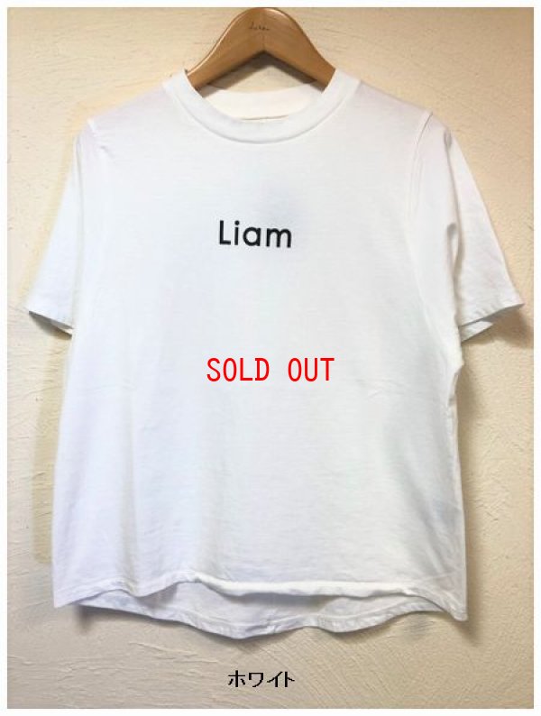 画像5: BLUE LAKE MARKET(ブルーレイクマーケット）　ソフト天竺変形プリントＴシャツ