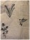 画像11: tukuroi(ツクロイ）　コットンリネンローン総柄刺繍プルオーバー