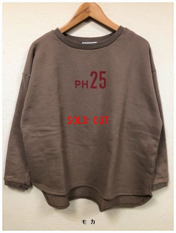 画像6: PACIFIC PARK STORE(パシフィックパークストア）　セントラル裏毛スウェットプルオーバー