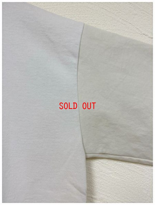 画像8: BLUE LAKE MARKET(ブルーレイクマーケット）　アメリカンドライ天竺バイファブリックプルオーバー