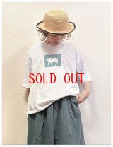 sun valley(サンバレー）　コットン天竺プリントTシャツ