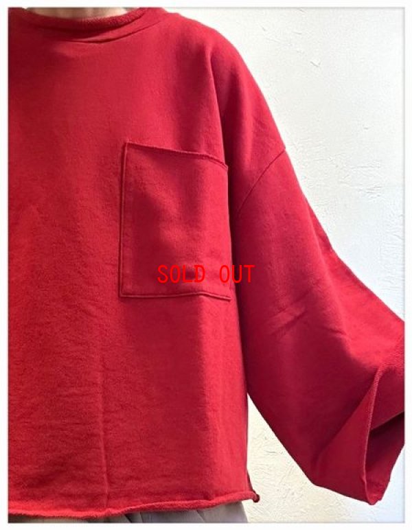 画像3: SETTE N（セッテン）　セントラル裏毛オーバーロックボトルネックプルオーバー