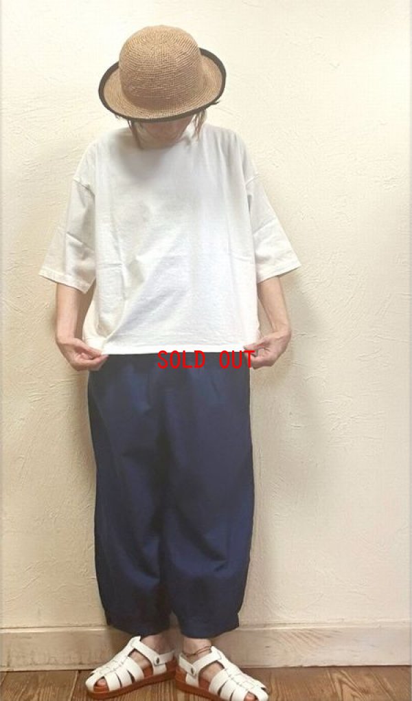 画像2: BLUE LAKE MARKET（ブルーレイクマーケット）　アメリカンドライ天竺バックスリットTee