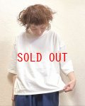 BLUE LAKE MARKET（ブルーレイクマーケット）　アメリカンドライ天竺バックスリットTee
