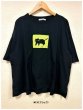 画像8: sun valley(サンバレー）　コットン天竺プリントTシャツ (8)