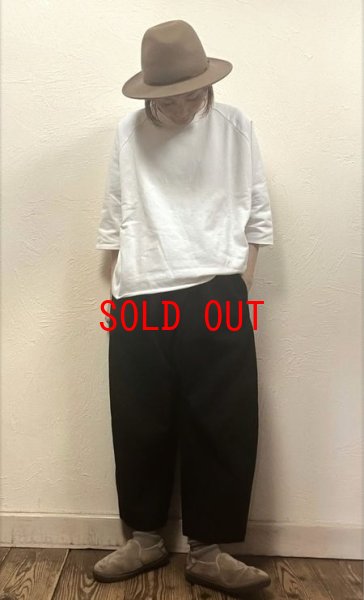 画像3: TANG（タング）　ウェザークロスピグメントバイウオッシュパンツ (3)