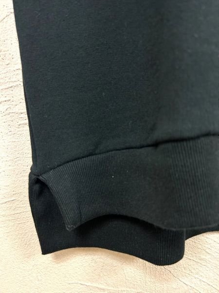 画像9: DIARIES（ダイアリーズ）　スイッチングヴィンテージフレンチテリープルオーバー (9)